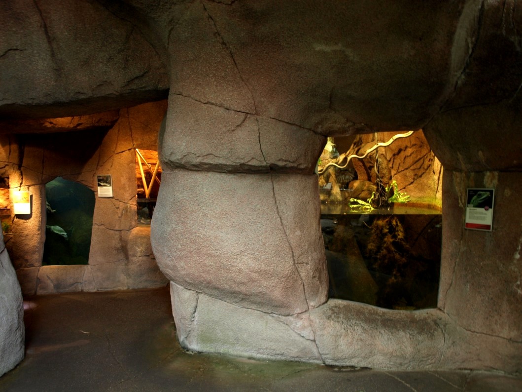 Randers Tropical Zoo - Asia Dome (Aquarium)