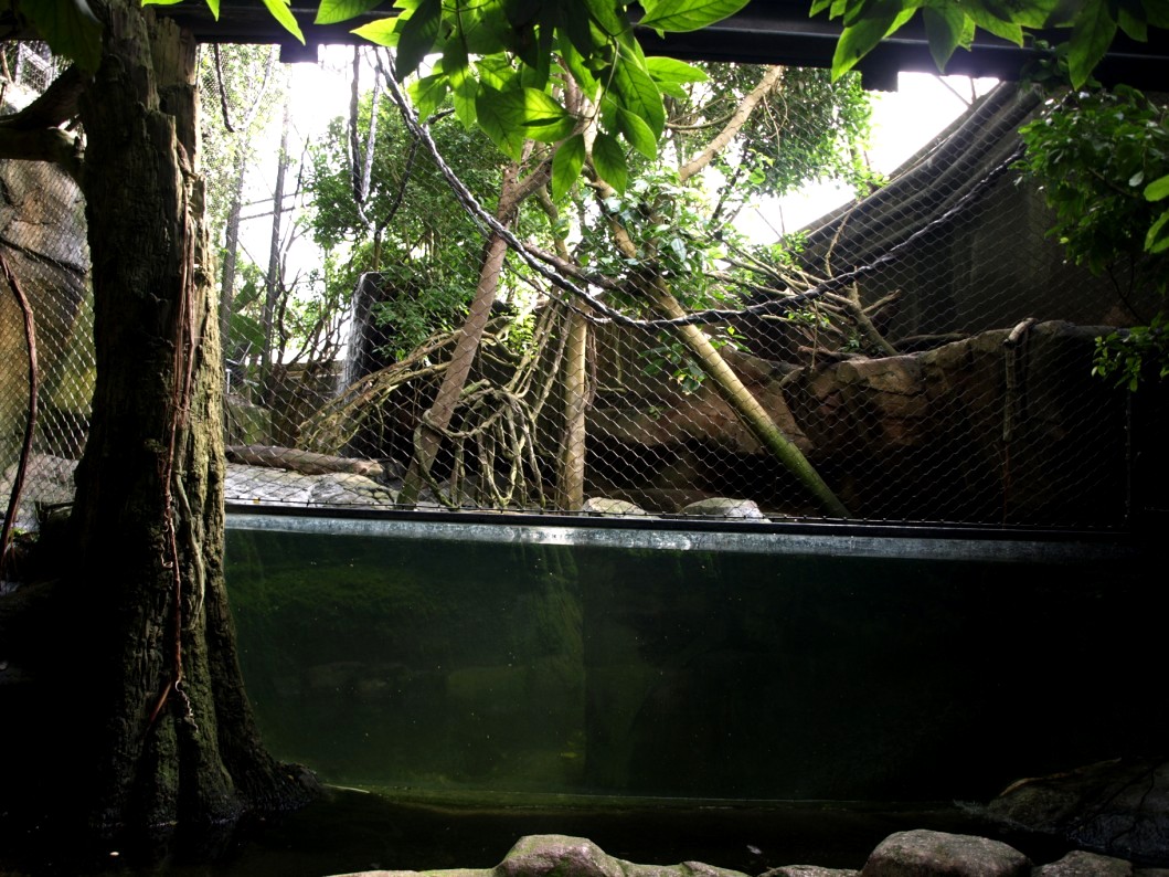 Randers Tropical Zoo - Asia Dome (Gibbon/otter exhibit)