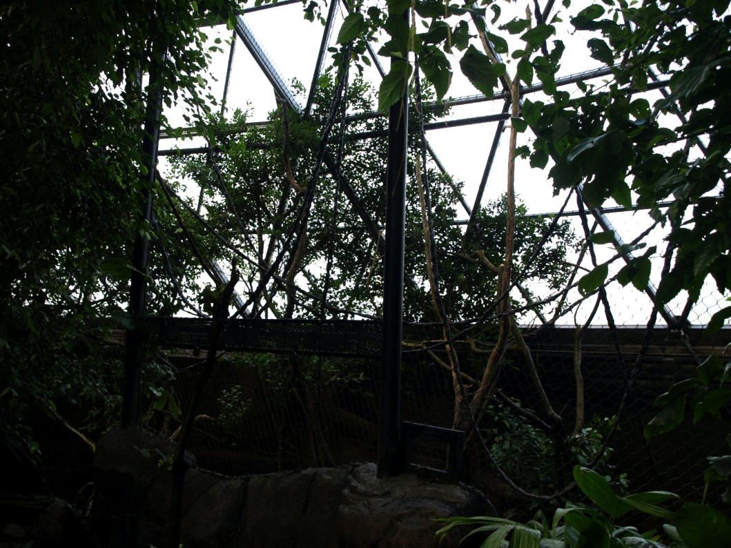 Randers Tropical Zoo - Asia Dome (Gibbon/otter exhibit)