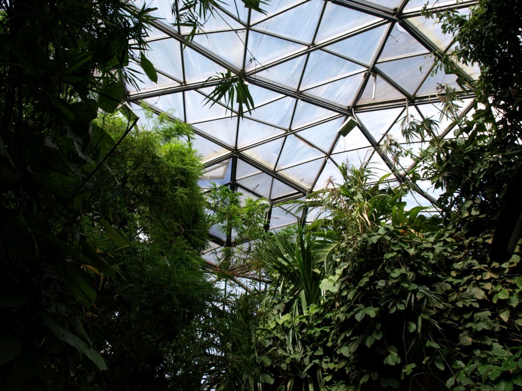 Randers Tropical Zoo - Asia Dome