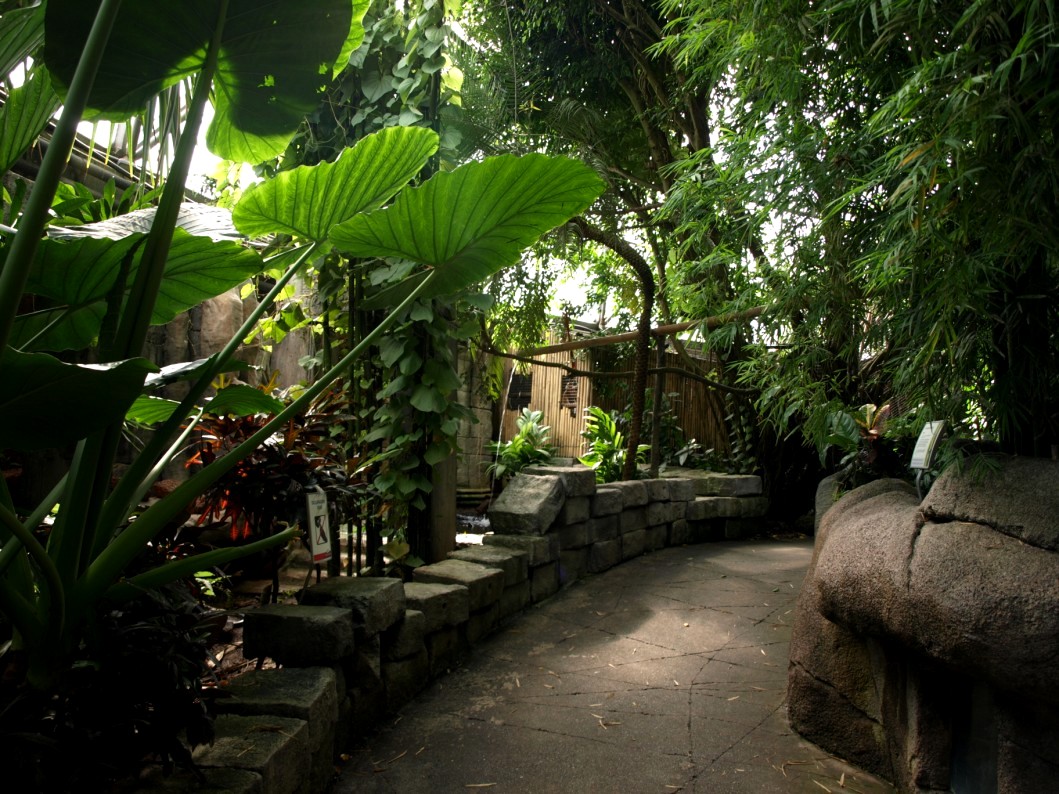 Randers Tropical Zoo - Asia Dome