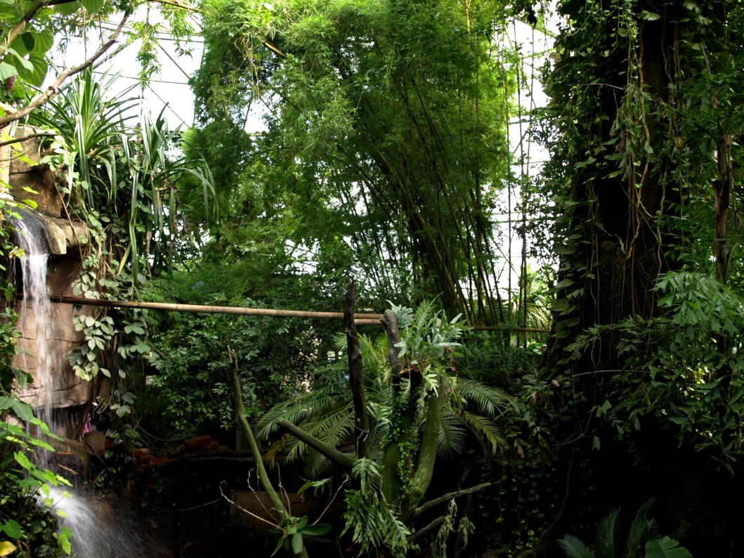 Randers Tropical Zoo - Asia Dome