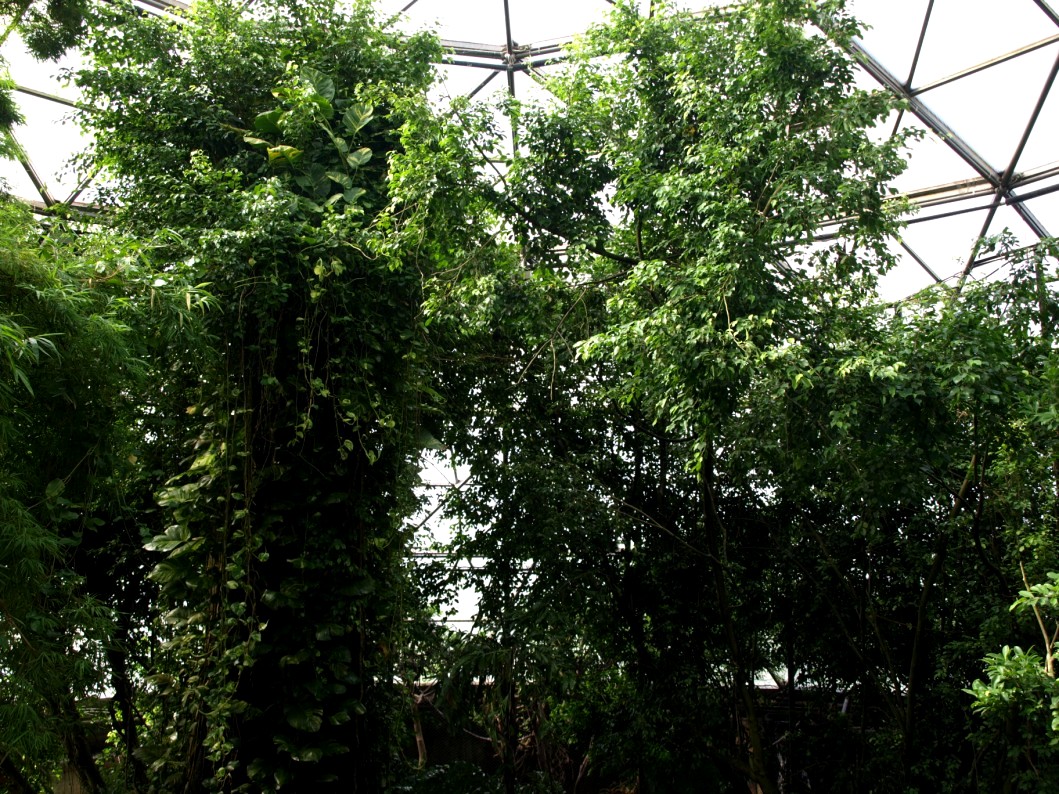 Randers Tropical Zoo - Asia Dome