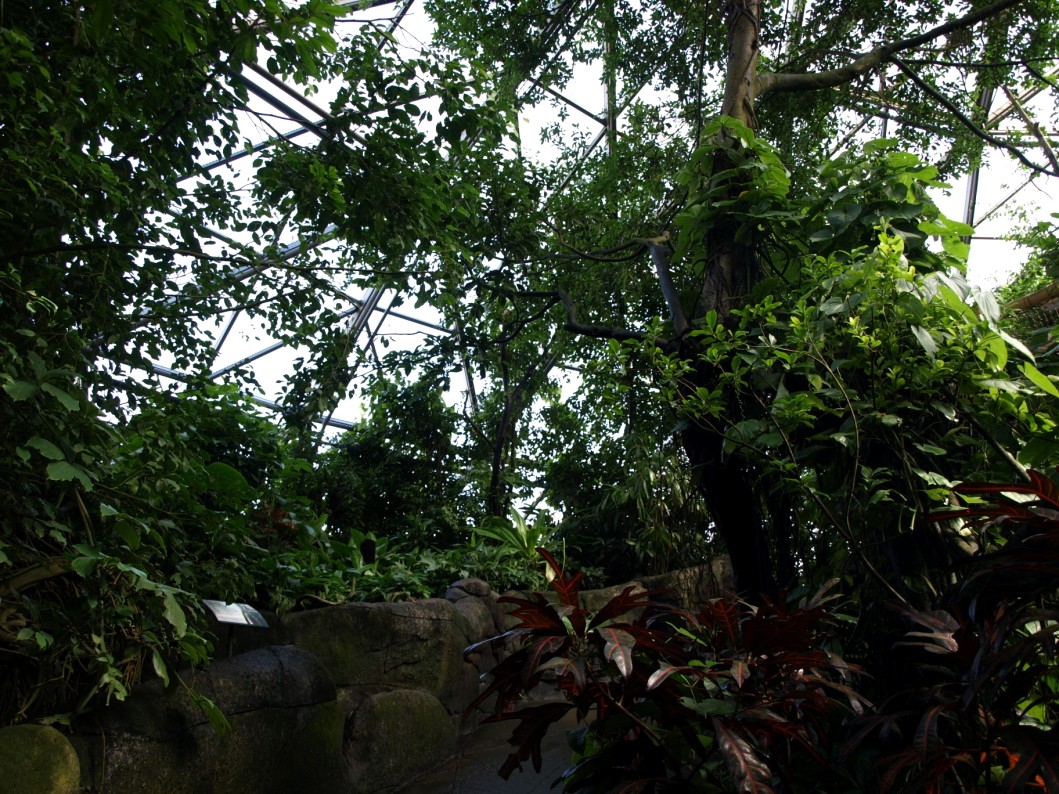 Randers Tropical Zoo - Asia Dome