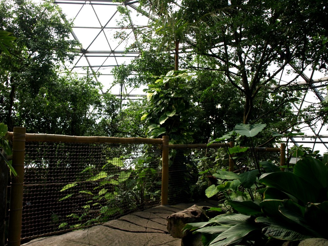Randers Tropical Zoo - Asia Dome