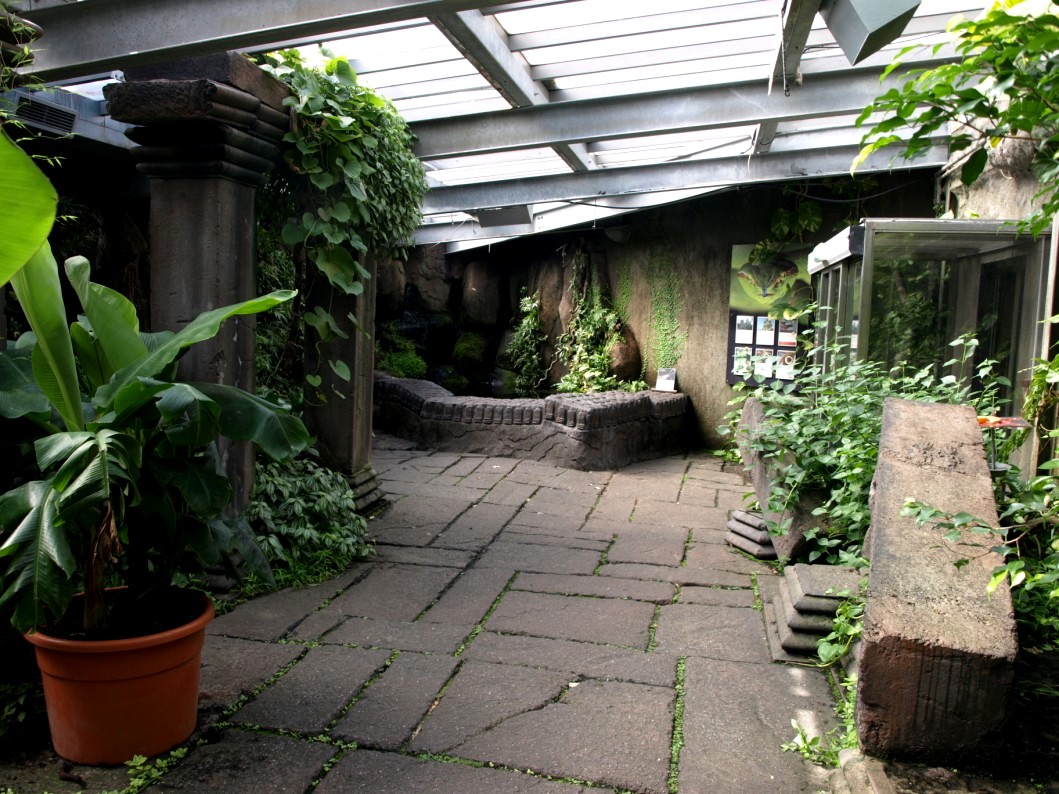 Randers Tropical Zoo - Asian Snake Temple