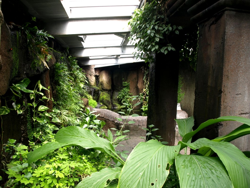 Randers Tropical Zoo - Asian Snake Temple