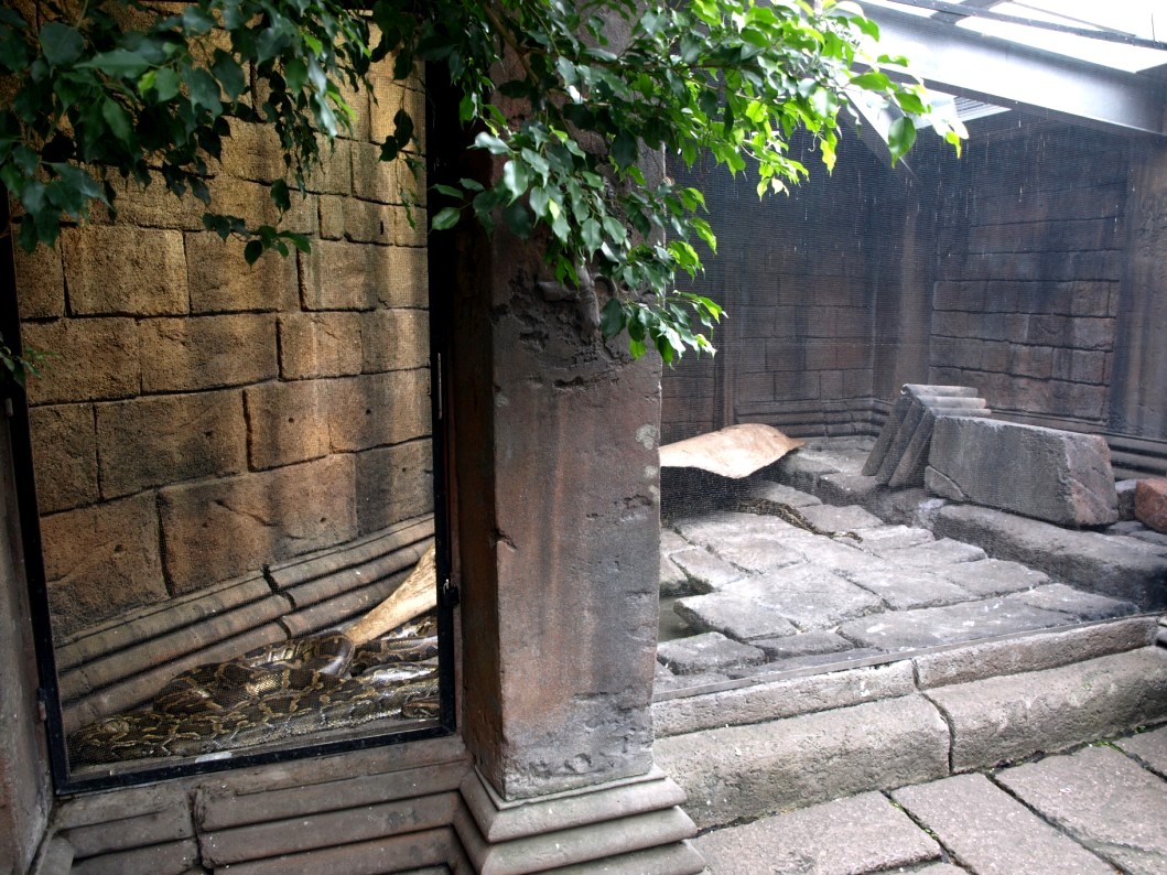 Randers Tropical Zoo - Asian Snake Temple