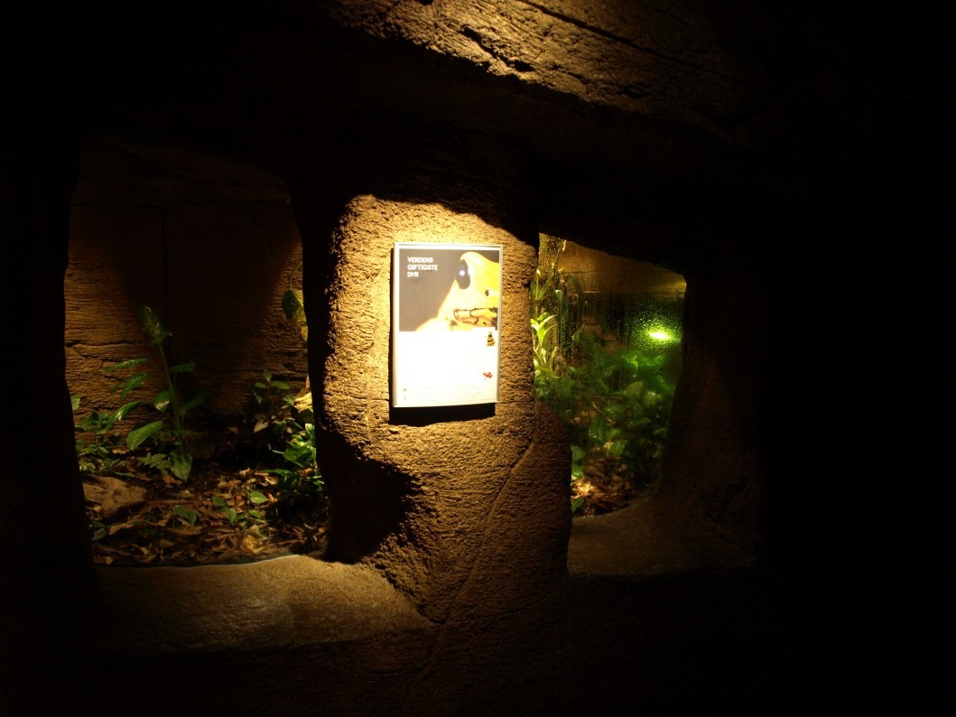 Randers Tropical Zoo - Diorama Hall (Arrow frogs)