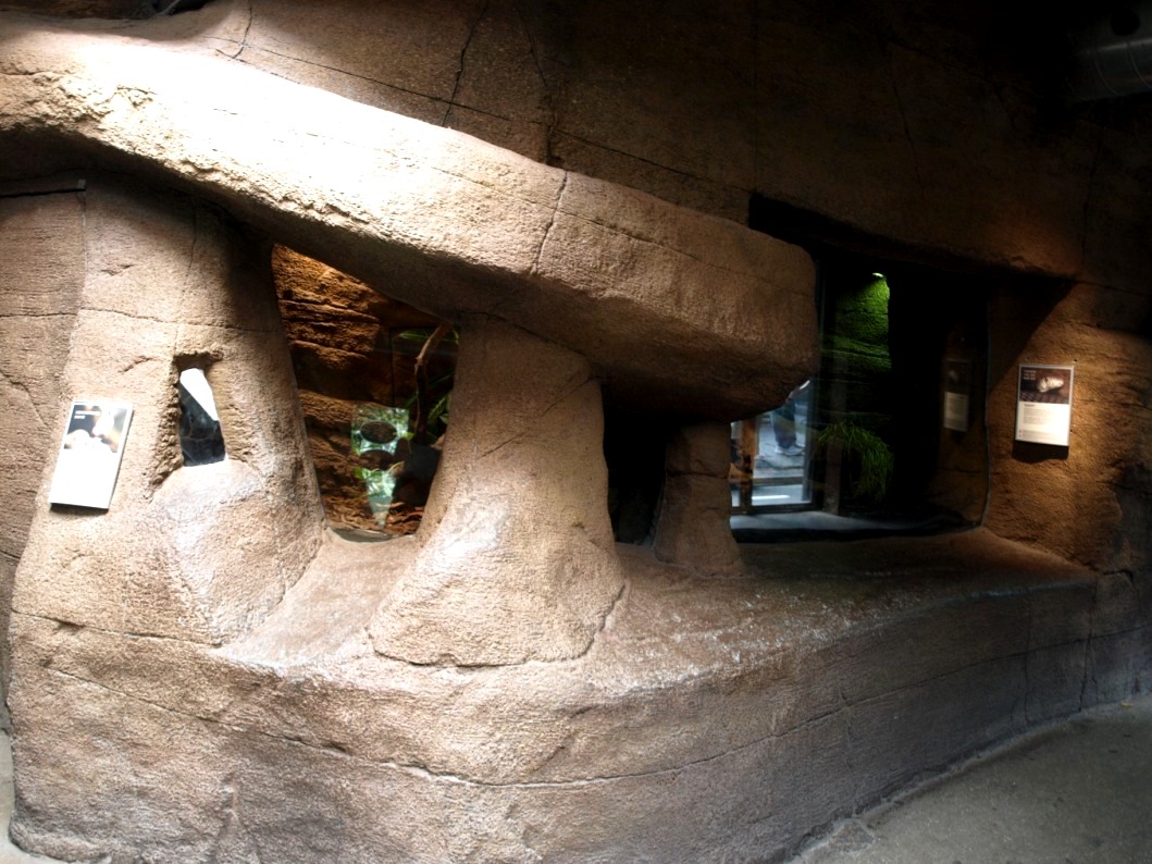 Randers Tropical Zoo - Diorama Hall (King cobra)