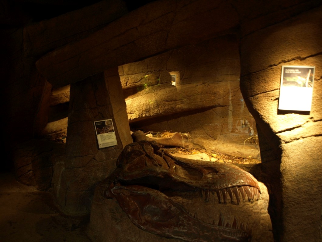Randers Tropical Zoo - Diorama Hall (Terrarium)
