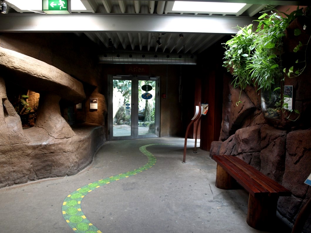 Randers Tropical Zoo - Diorama Hall