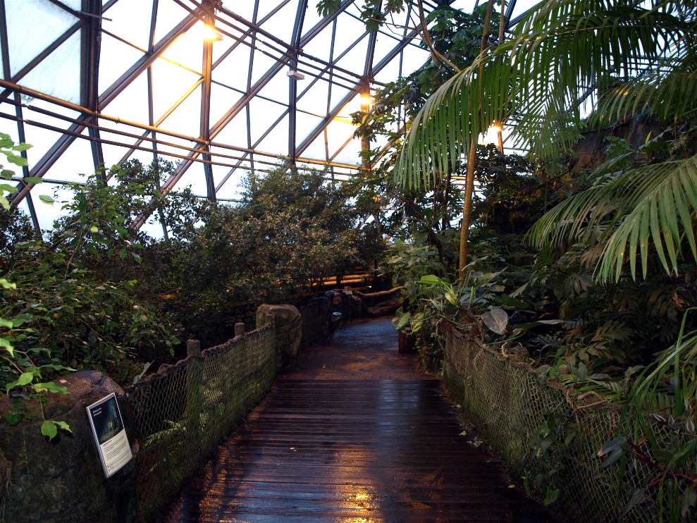 Randers Tropical Zoo - Monkey Path