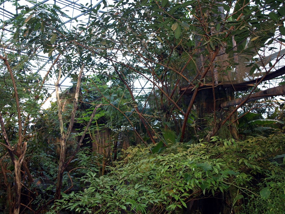 Randers Tropical Zoo - South America Dome