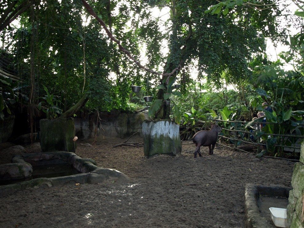 Randers Tropical Zoo - Tapir enclosure