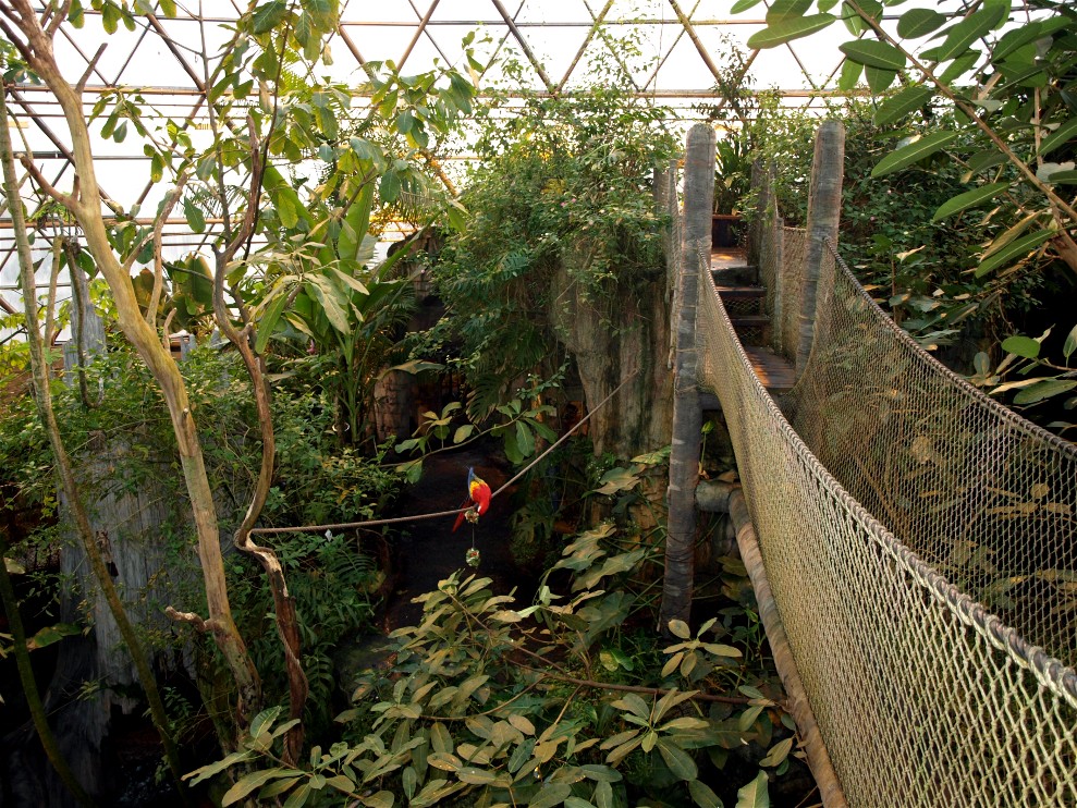 Randers Tropical Zoo - Tree-topping