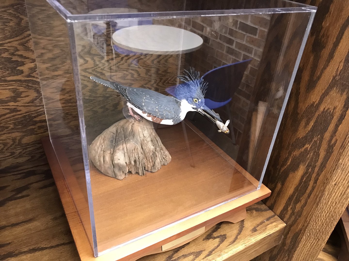 Randolph County Public Library: Belted Kingfisher Carving