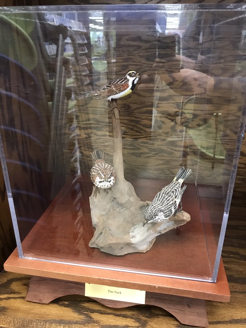 Randolph County Public Library: Dickcissel and Pine Finch Carvings