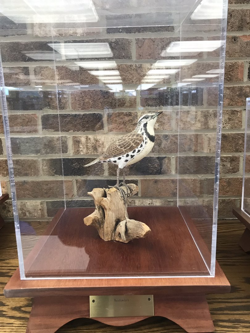 Randolph County Public Library: Eastern Meadowlark Carving