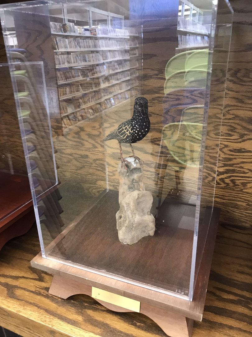 Randolph County Public Library: European Starling Carving