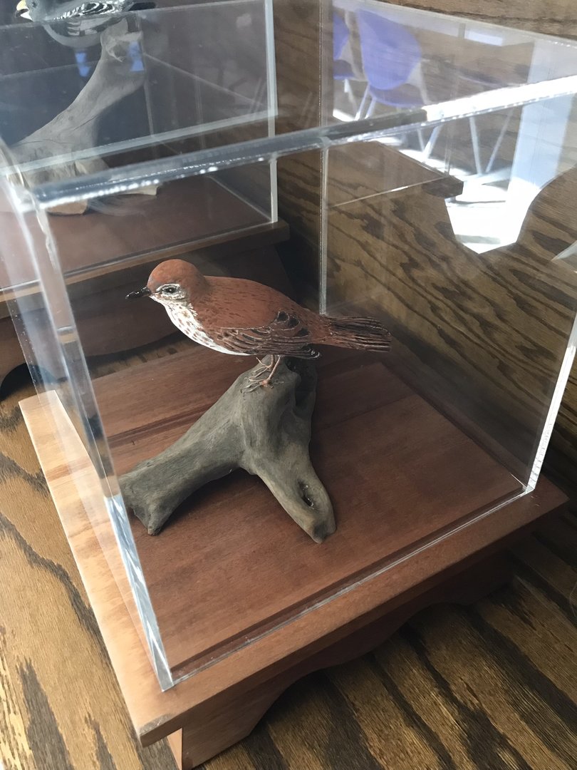 Randolph County Public Library: Hermit Thrush Carving