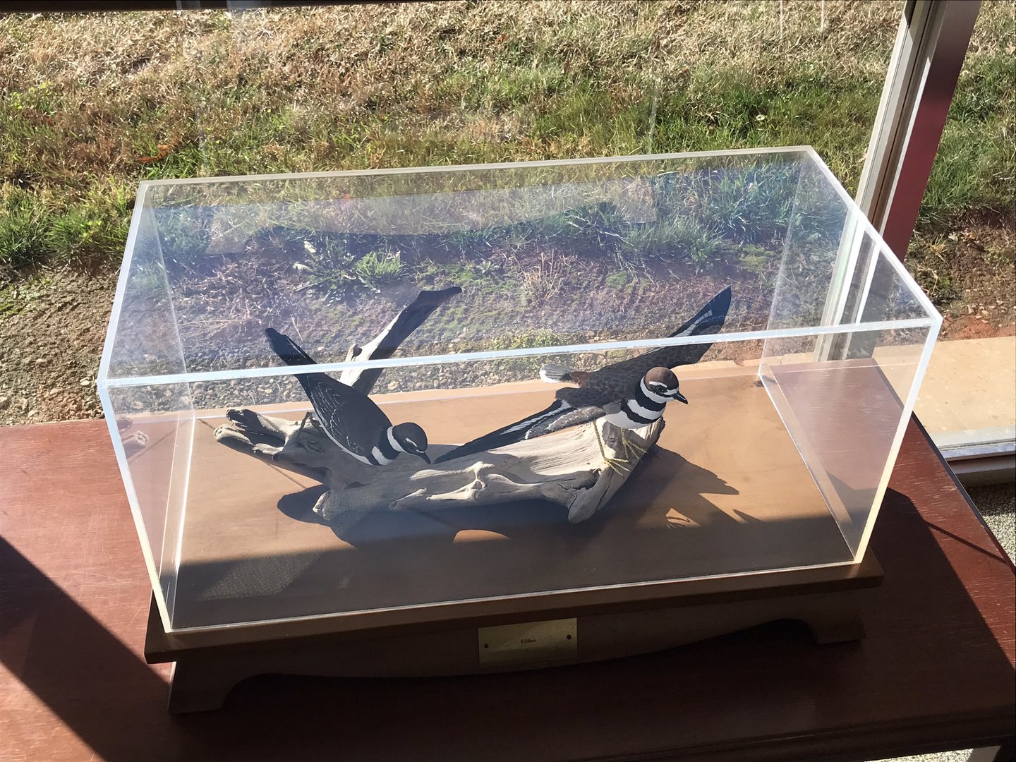 Randolph County Public Library: Killdeer Carvings