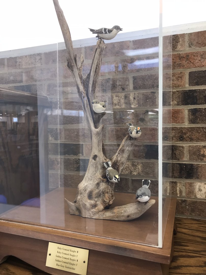 Randolph County Public Library: Kinglet and Gnatcatcher Carvings