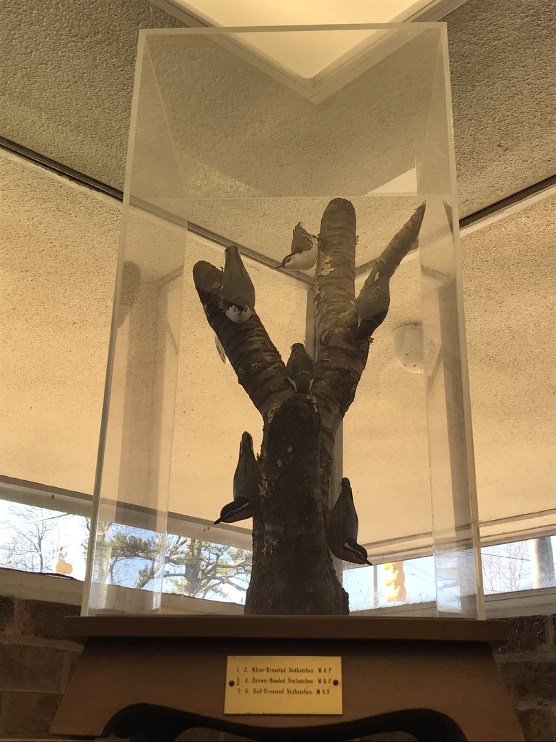 Randolph County Public Library: Nuthatch Carvings