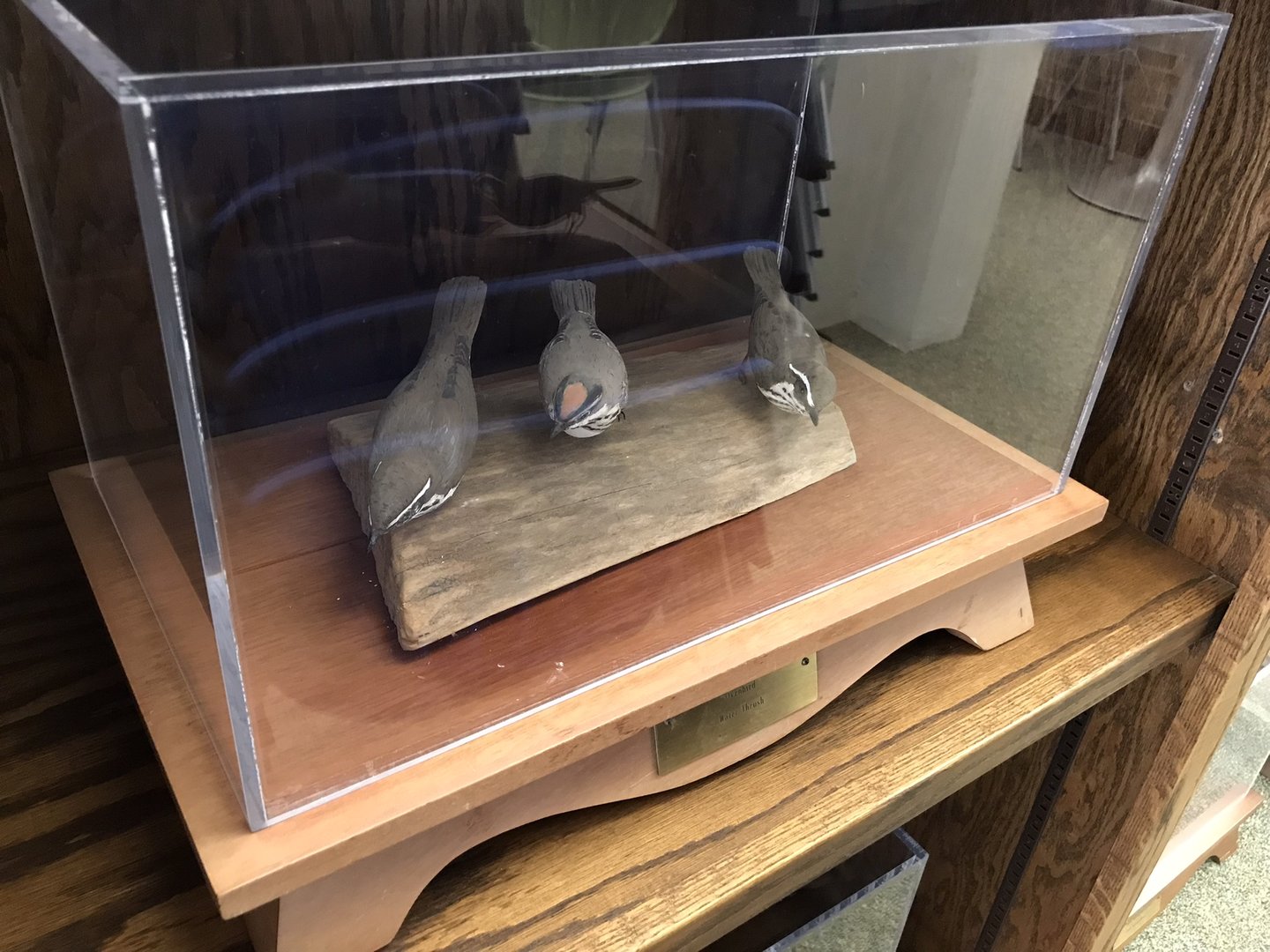 Randolph County Public Library: Ovenbird and Waterthrush Carvings