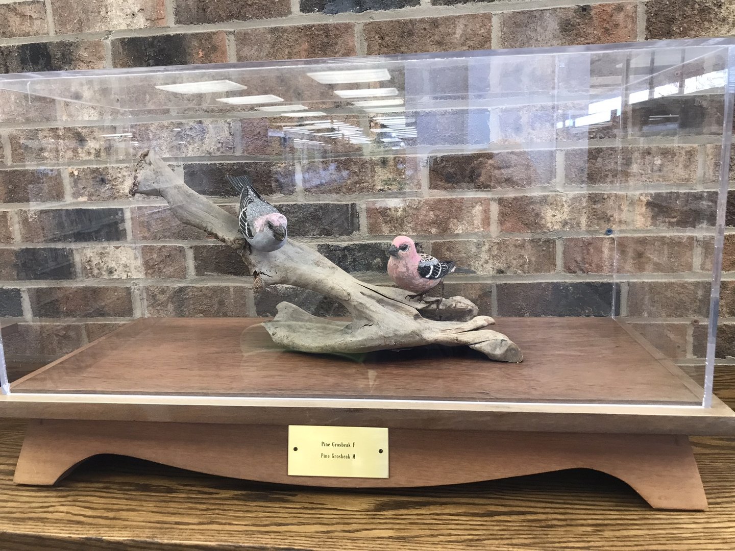 Randolph County Public Library: Pine Grosbeak Carvings