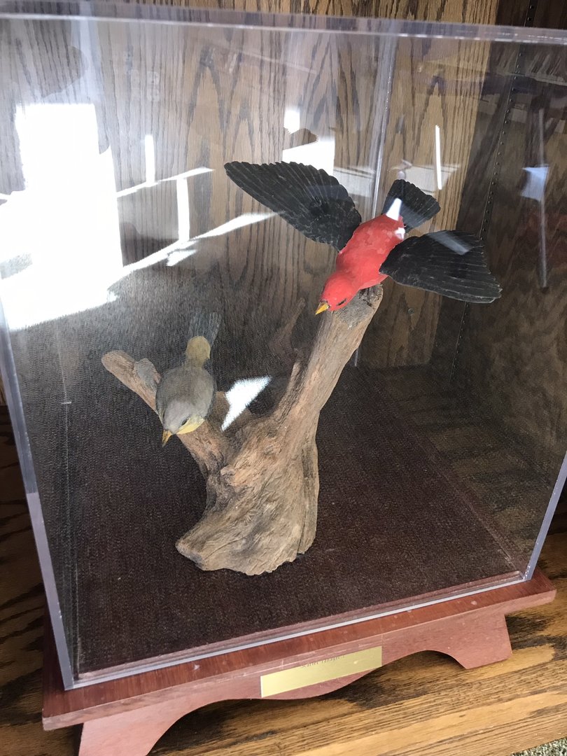 Randolph County Public Library: Scarlet Tanager Carvings