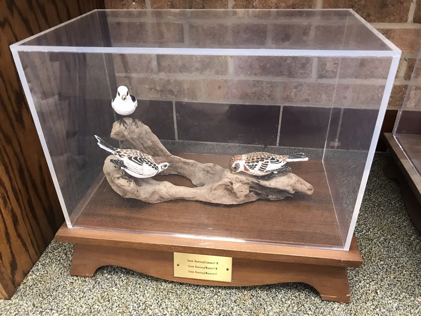Randolph County Public Library: Snow Bunting Carvings