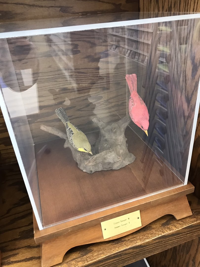 Randolph County Public Library: Summer Tanager Carvings