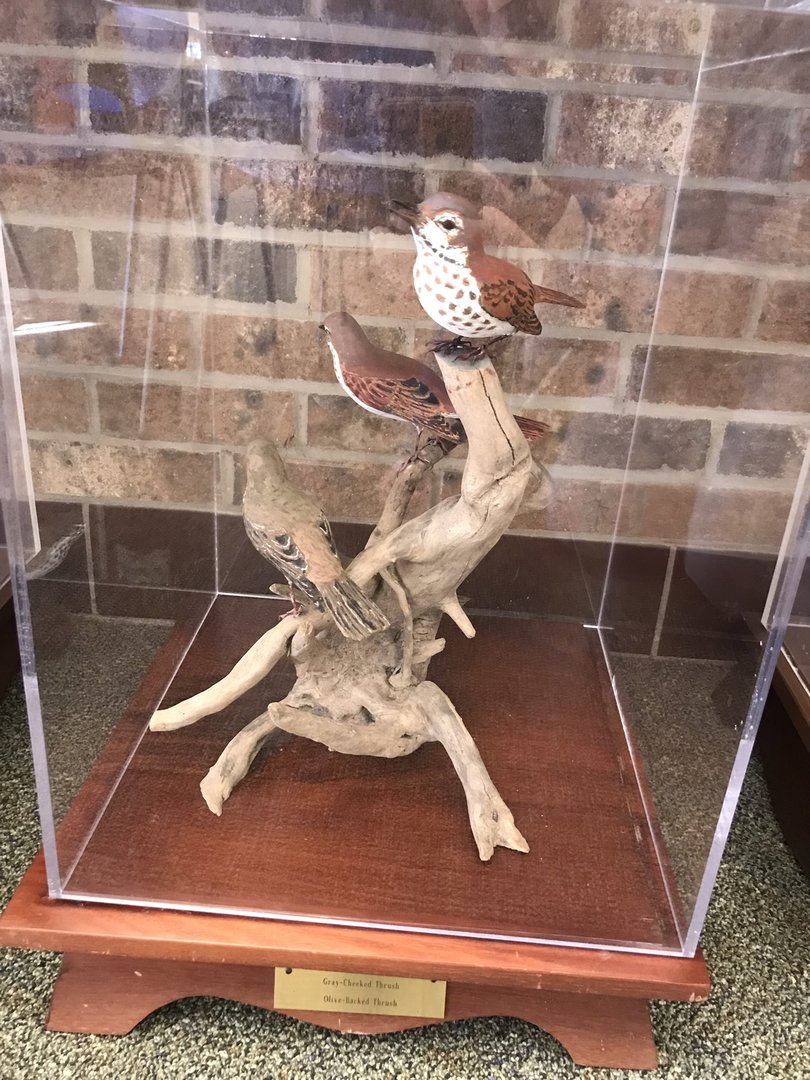 Randolph County Public Library: Thrush Carvings