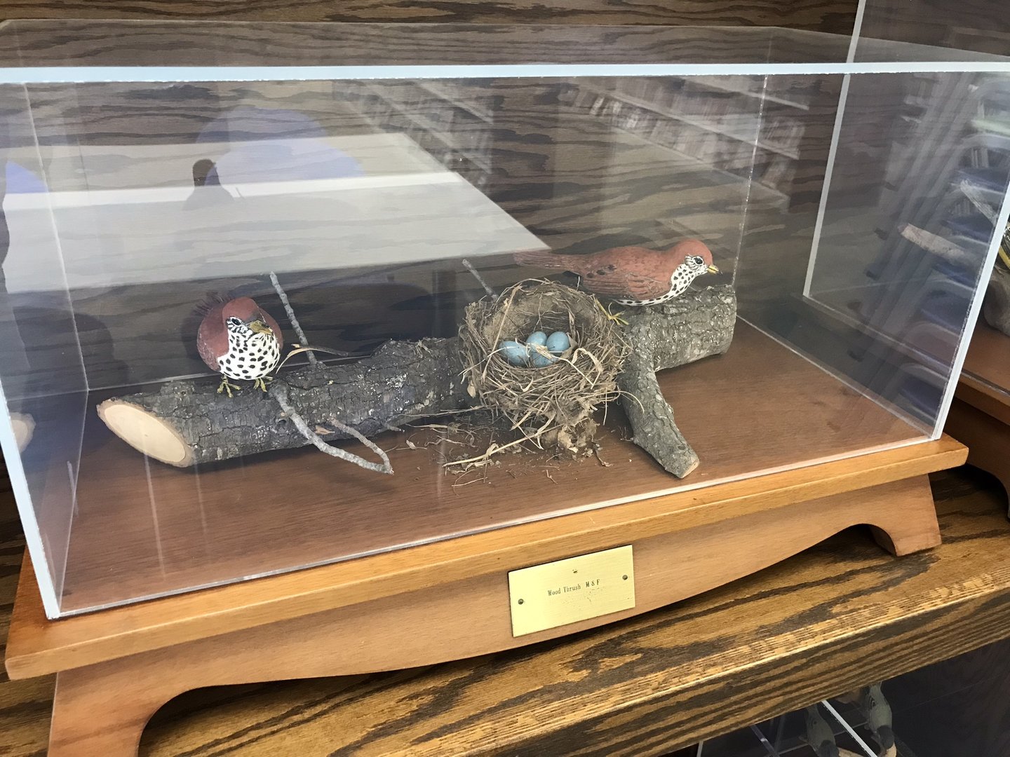 Randolph County Public Library: Wood Thrush Carvings