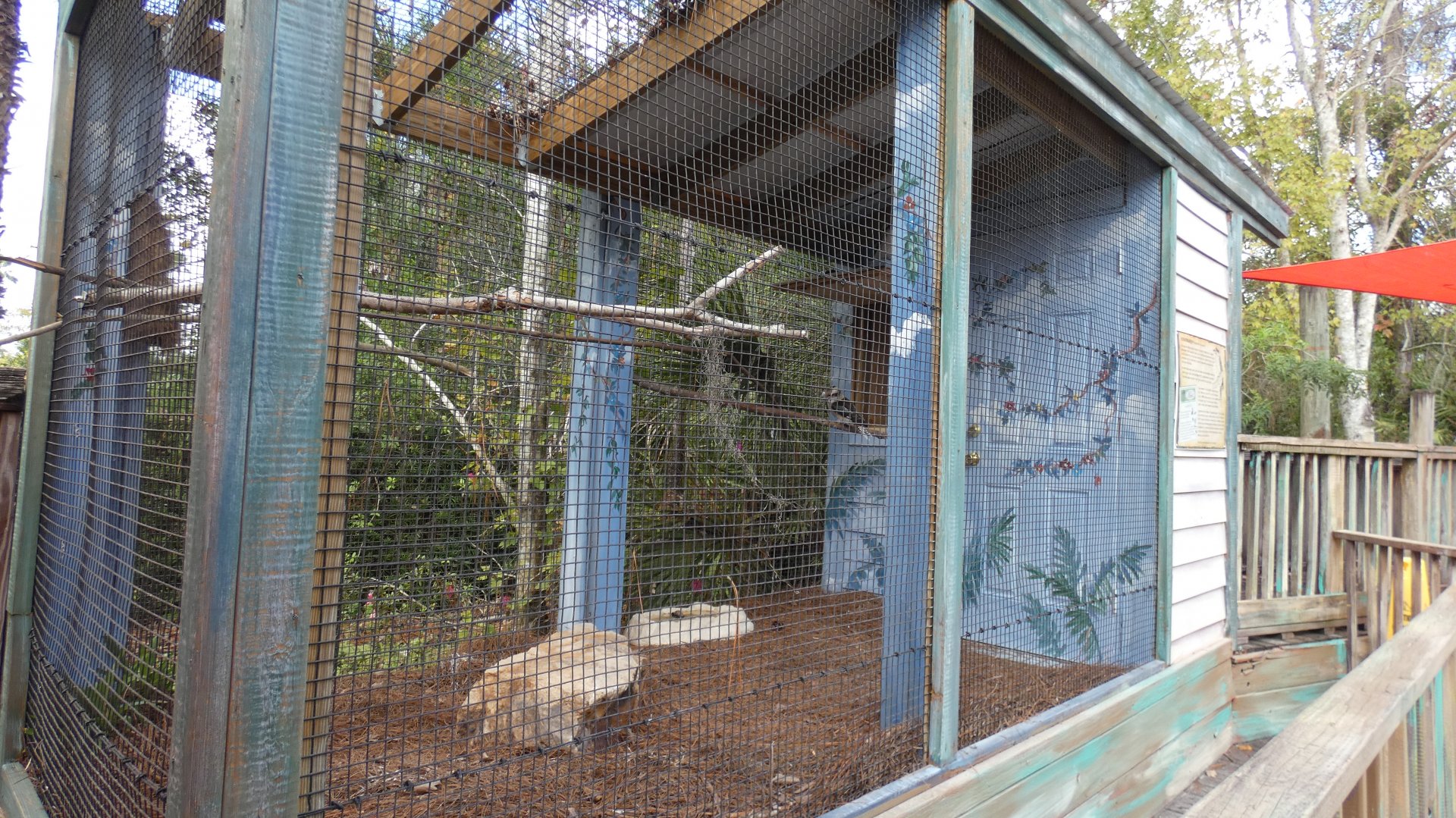 Random Kookaburra Aviary, Crocs of the World - Jan. 2022