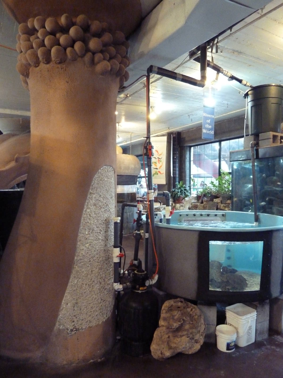 Random Objects + Tanks