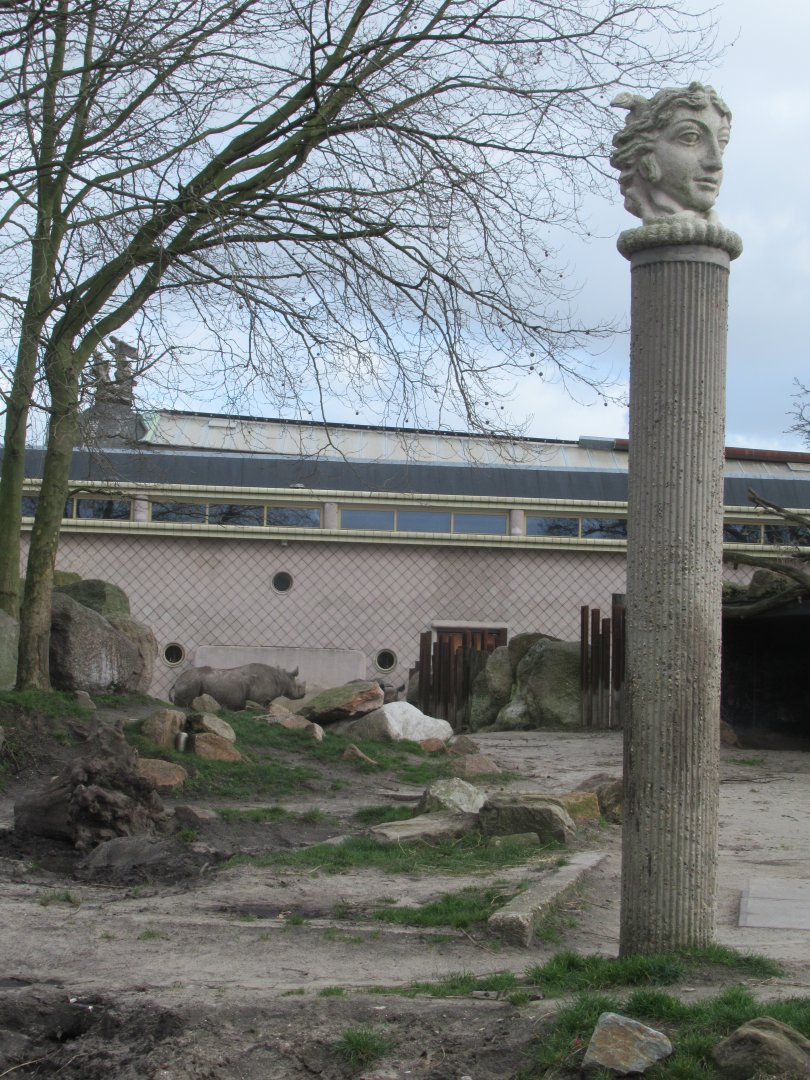 Random pillar in rhino paddock