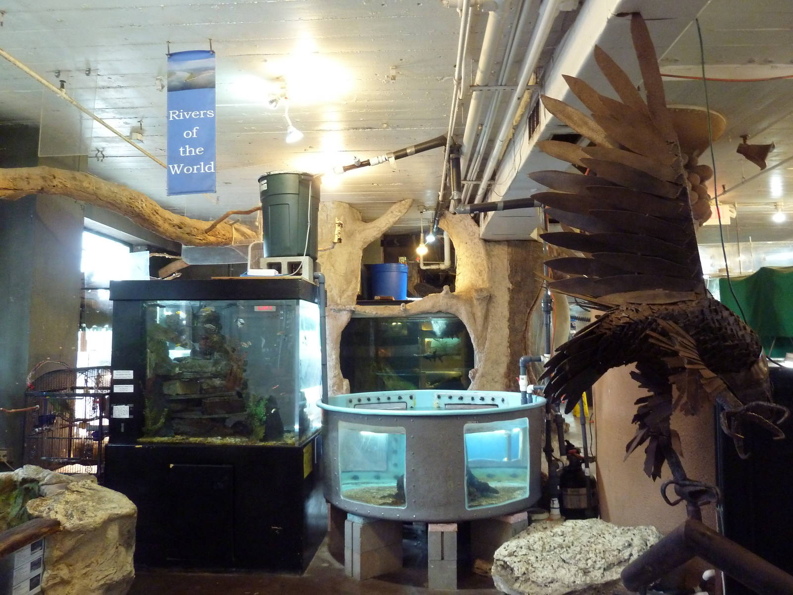 Random Tanks + Objects + Junk