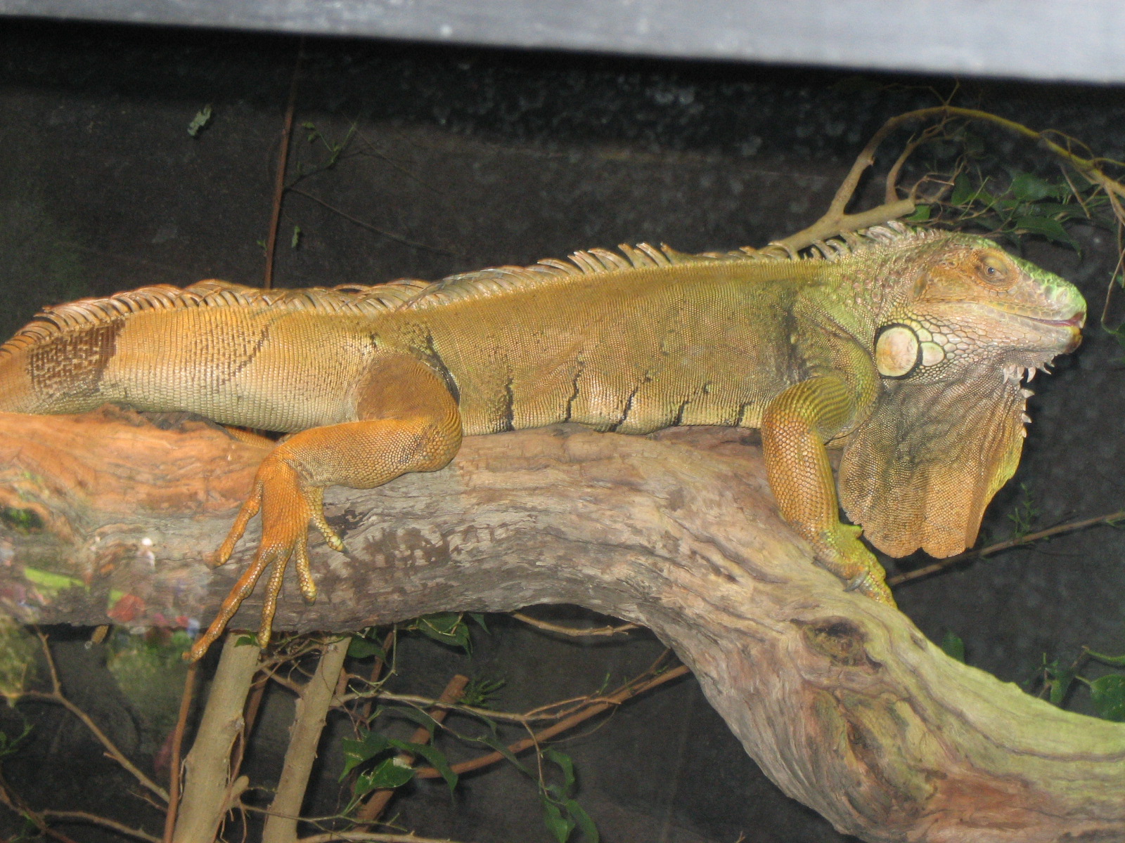 Randomns from Melbourne