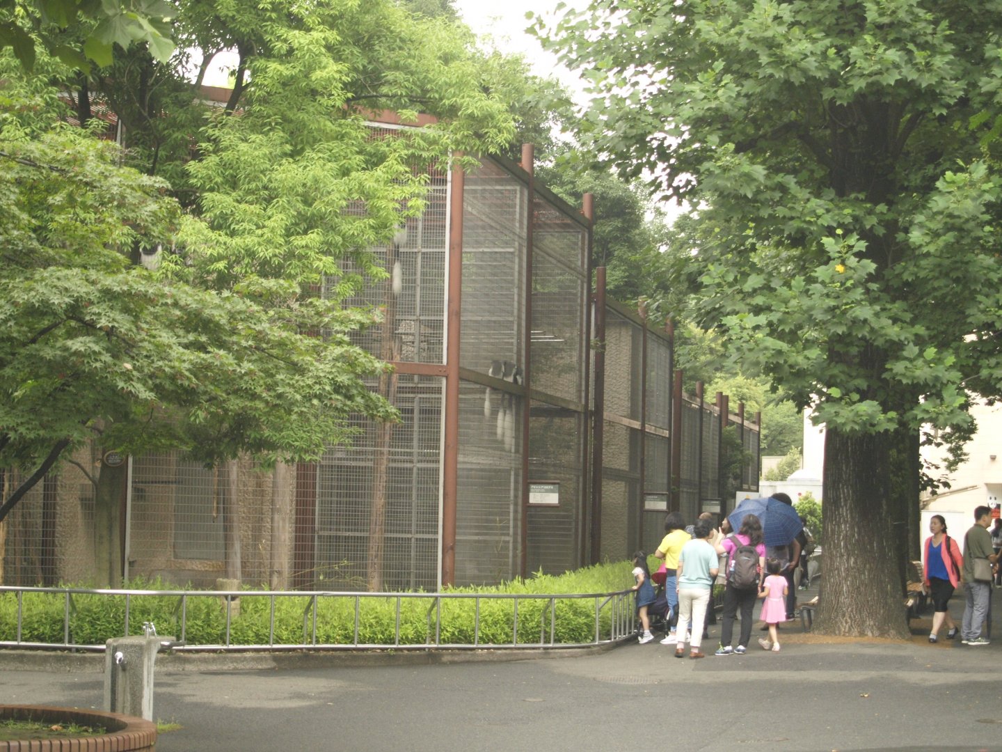 Range of old primate cages