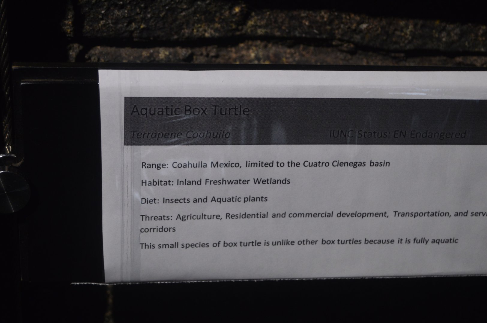 Range of the Jaguar - Aquatic Box Turtle Signage