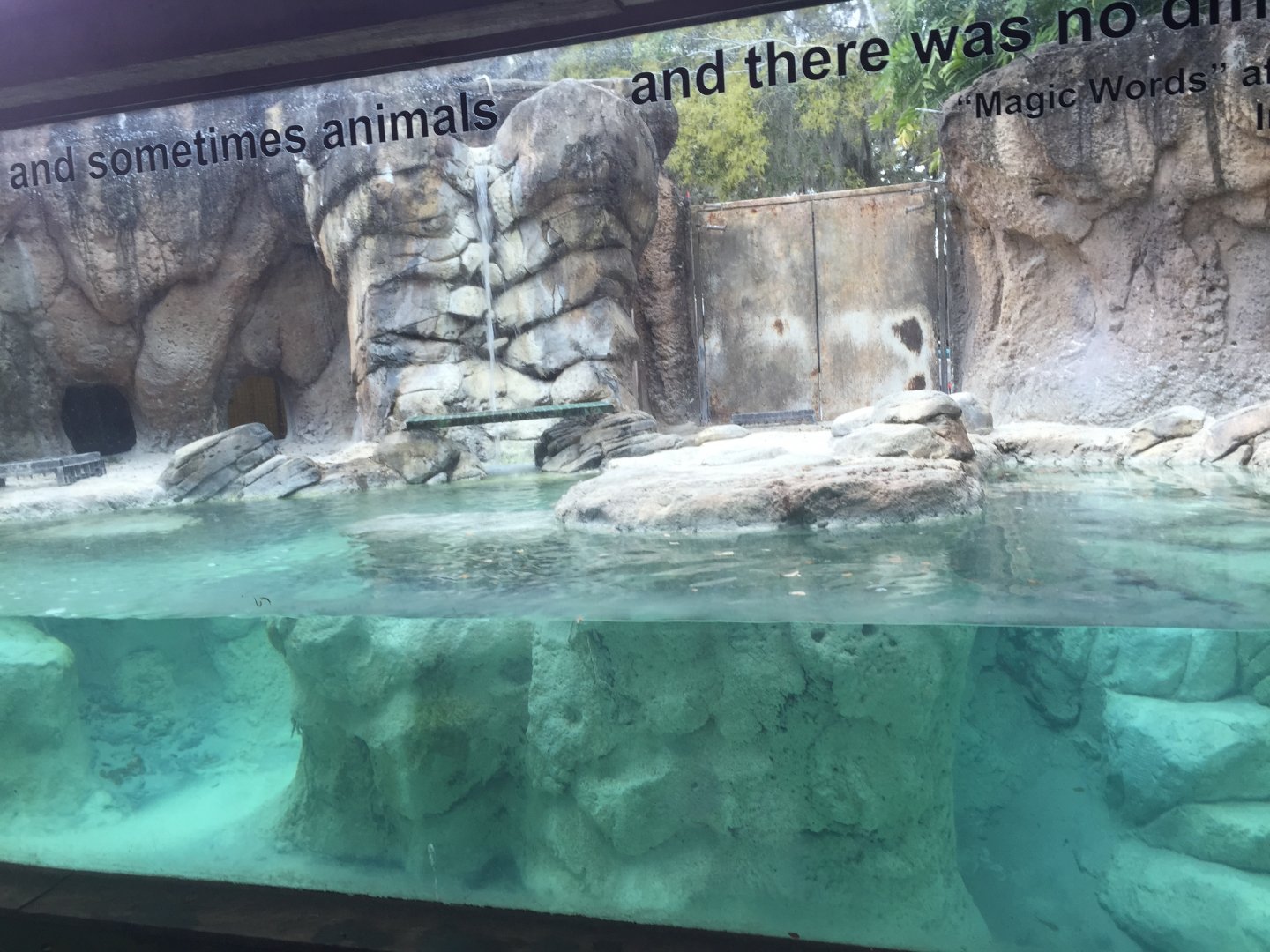 Range of the Jaguar- Emerald Forest- Giant Otter