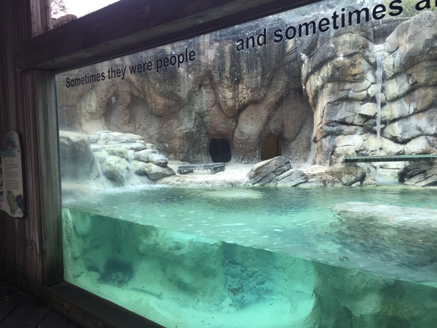 Range of the Jaguar- Emerald Forest- Giant Otter