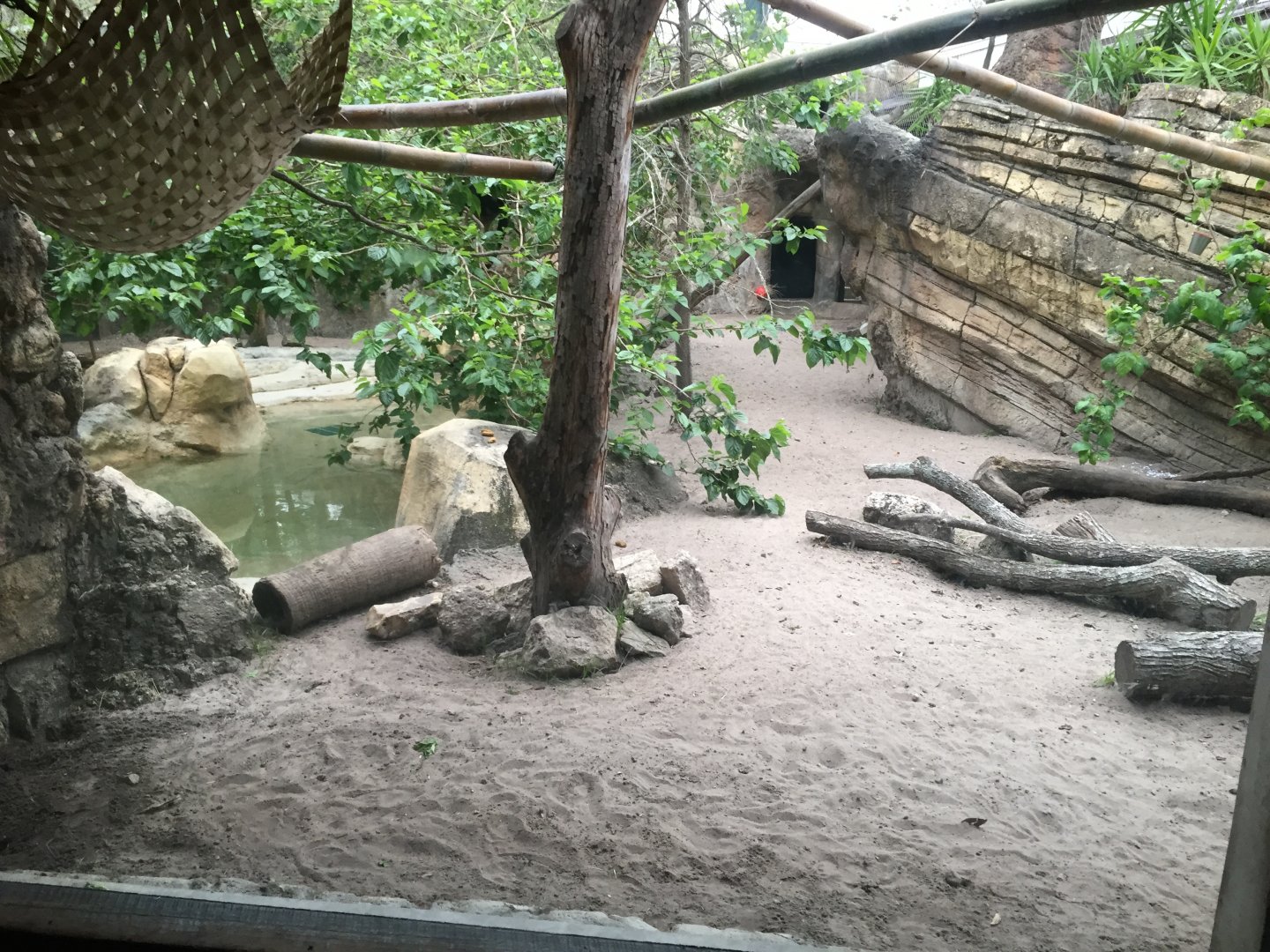 Range of the Jaguar- Giant Anteater/Howler Monkey