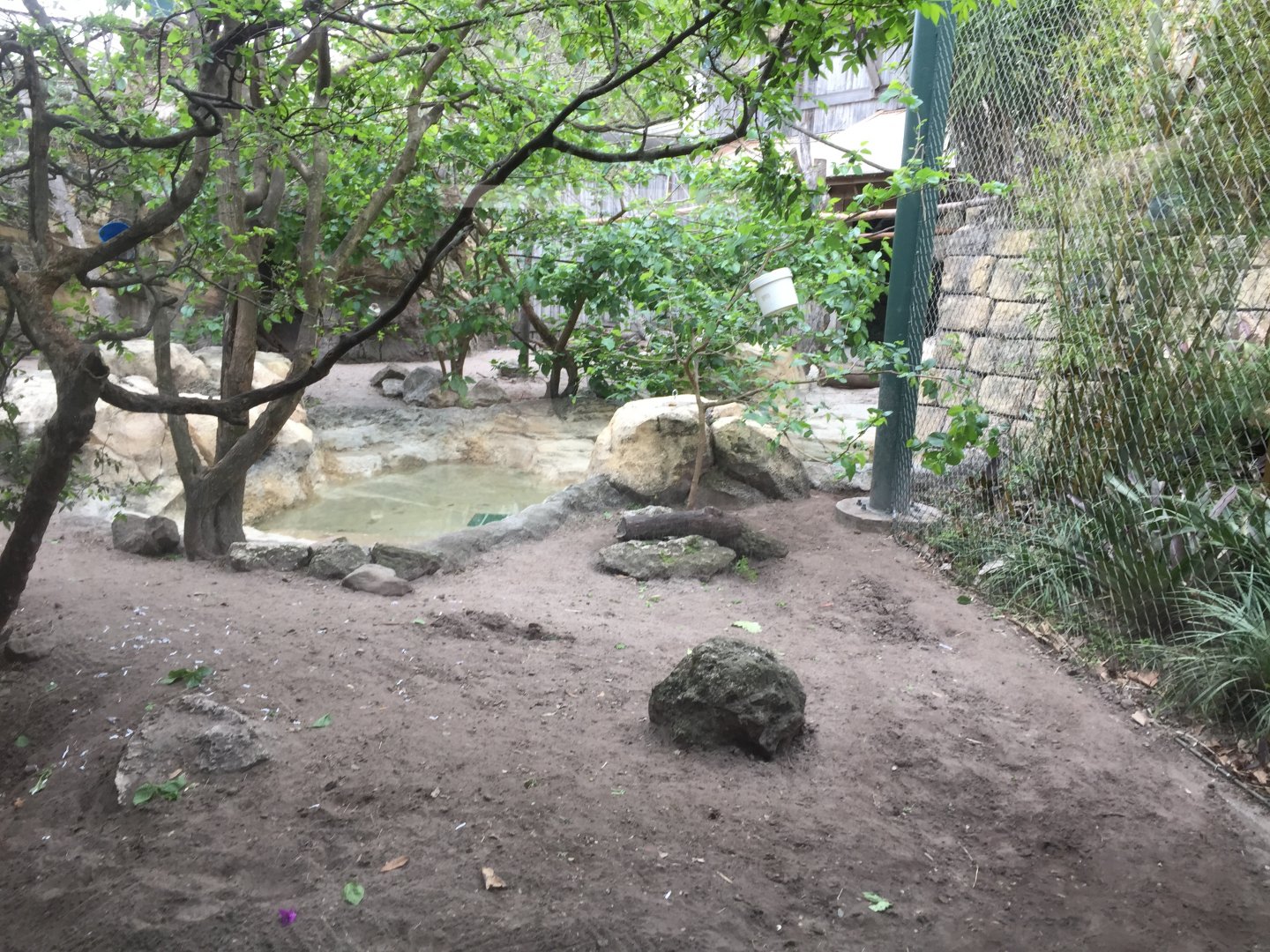 Range of the Jaguar- Giant Anteater/Howler Monkey