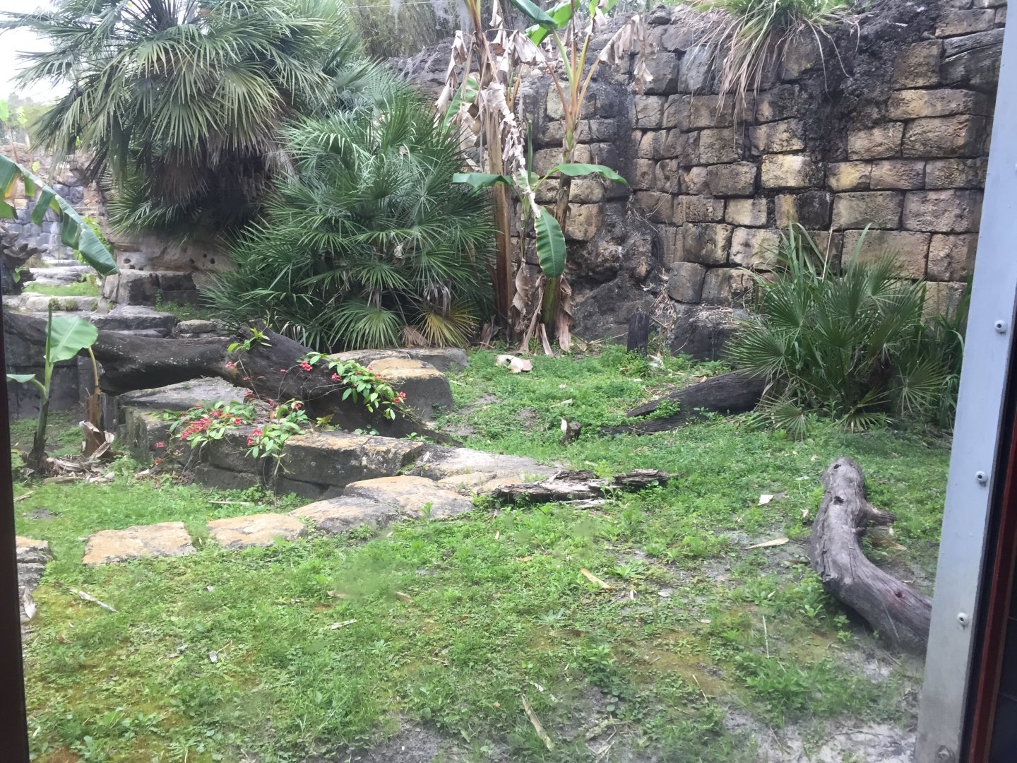 Range of the Jaguar- Jaguar