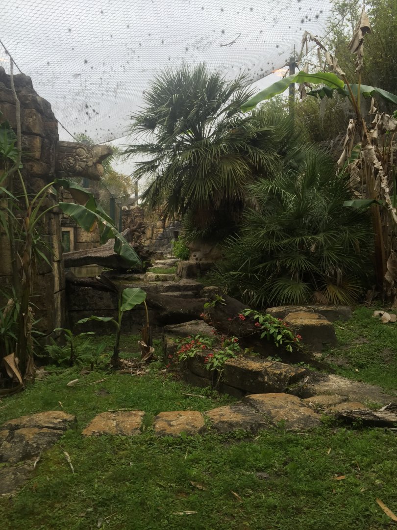 Range of the Jaguar- Jaguar