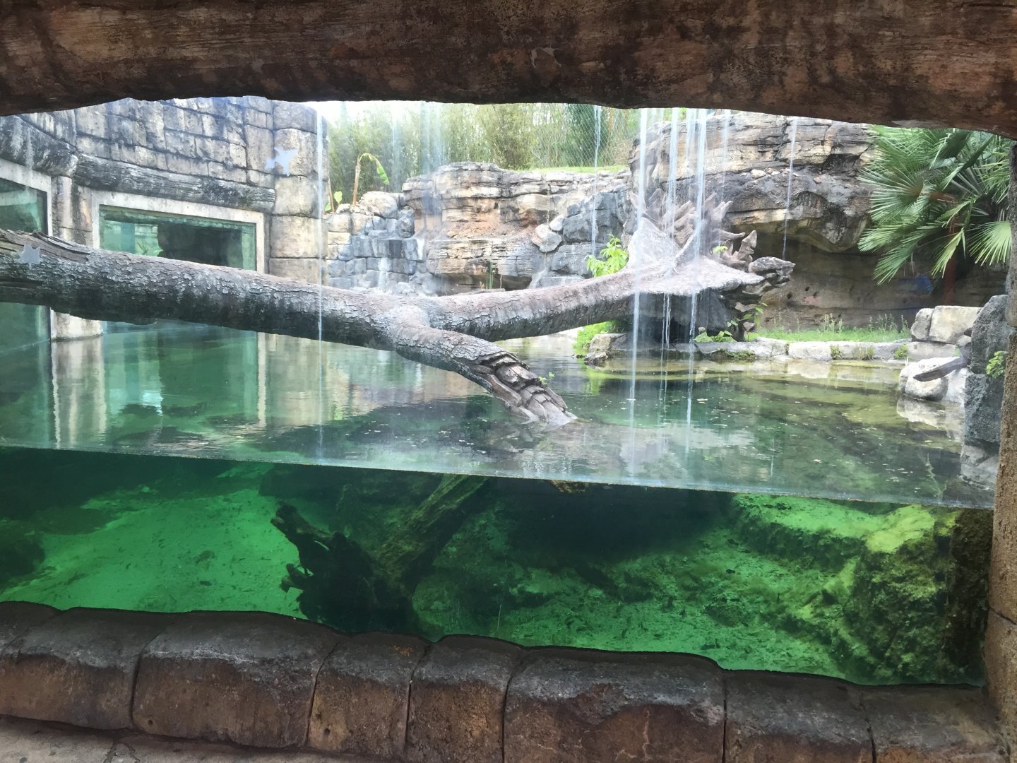 Range of the Jaguar- Jaguar