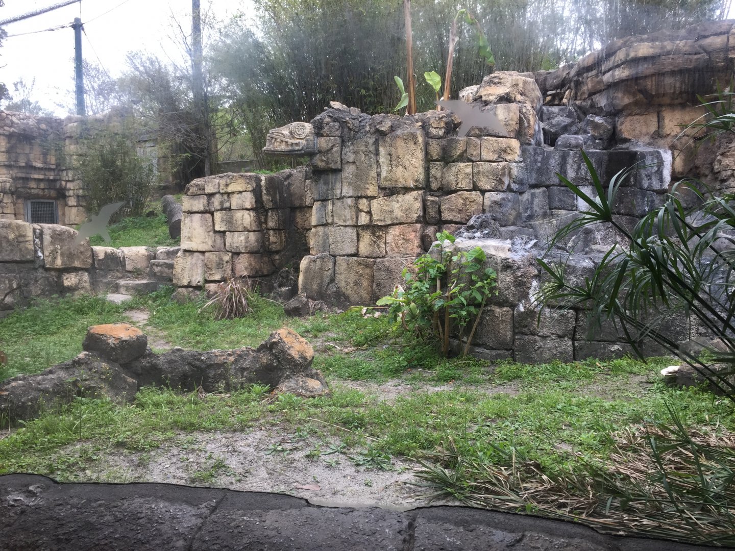 Range of the Jaguar- Jaguar